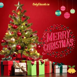 Happy merry christmas day
Happy merry christmas day 2021